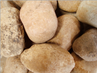 Pedregulho Coco